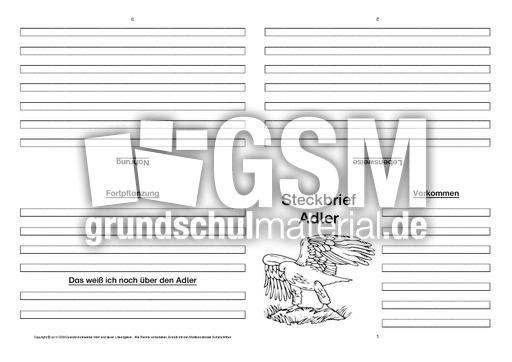 Adler-Faltbuch-vierseitig-2.pdf